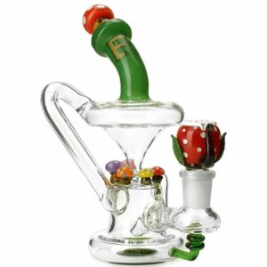 Shop Empire Glassworks Mini Mushroom Recycler Bong 🍄 in australian