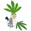 Shop My Bud Vase Love Bud Mini Bong in australian