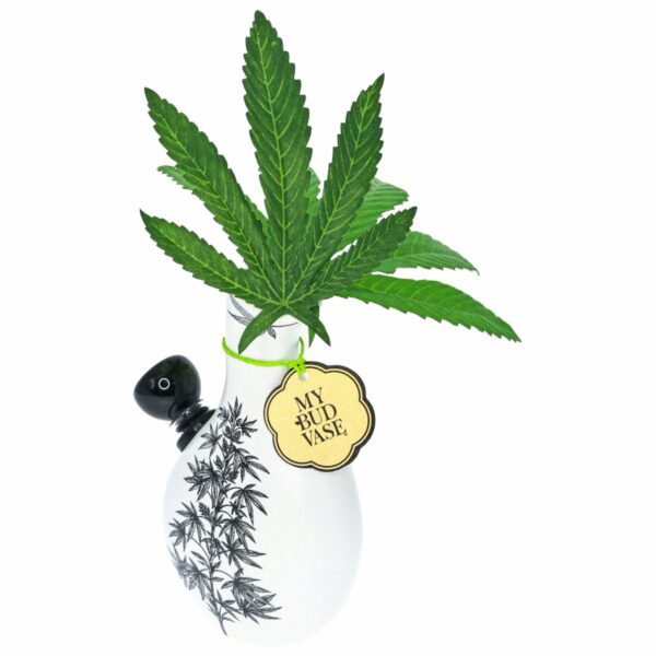 Shop My Bud Vase Love Bud Mini Bong in australian