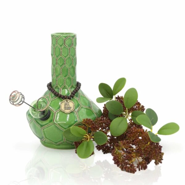 Shop My Bud Vase Turtle Bong in australian