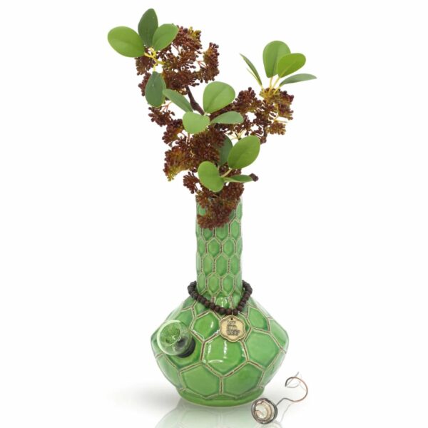 Shop My Bud Vase Turtle Bong in australian