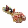 Shop Empire Glassworks Small Kraken Spoon Pipe in australian