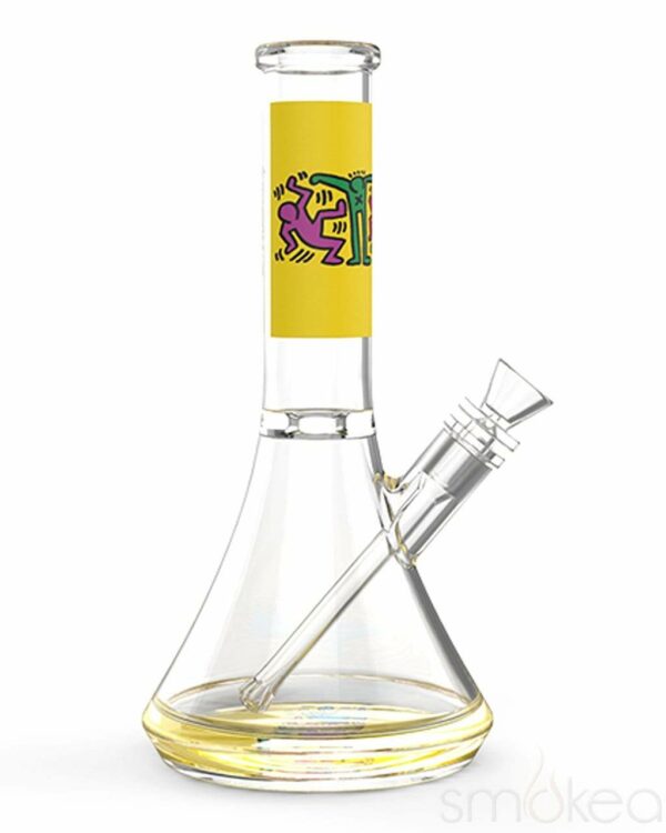 Shop K. Haring Water Pipe in australian